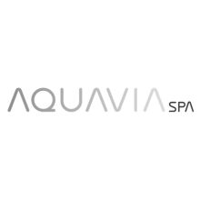 Basenispa