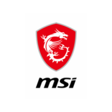 MSI